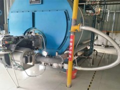 意科法兰低氮燃烧器安徽低碳燃烧器FGR