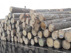 木材报关公司进口手续