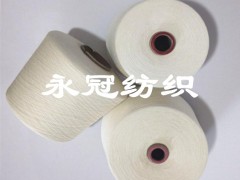环锭纺R21S/2股人造棉股纱