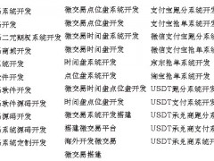 深圳区块链usdt支付系统源码开发