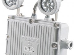 LED双头防爆应急灯自检保护智能充放电设计质保一年IIB级