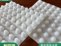 欢迎：茂名3公分塑料排水板价格（欢迎莅临）新报价