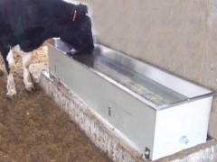 冬季电加热恒温饮水槽 不锈钢牛场恒温饮水器