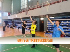 球行天下东城东单体育馆羽毛球培训