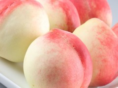 桃子水果供应
