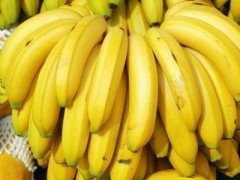 香蕉水果供应