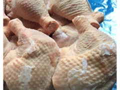 冷冻食品鸡肉类分割产品老鸡腿 一手货源厂家批发供应