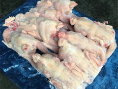 冻579公鸡白条_冷冻鸡肉生品食材原料_烧鸡辣子鸡调理食材