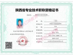 全新陕西省职称评审电子系统申报使用方法讲解