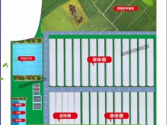 育秧基地水肥一体化设计 江西萍乡农业振兴升级自动灌溉施肥机械