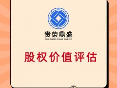 九江市企业股权价值评估股东价值评估企业负债评估